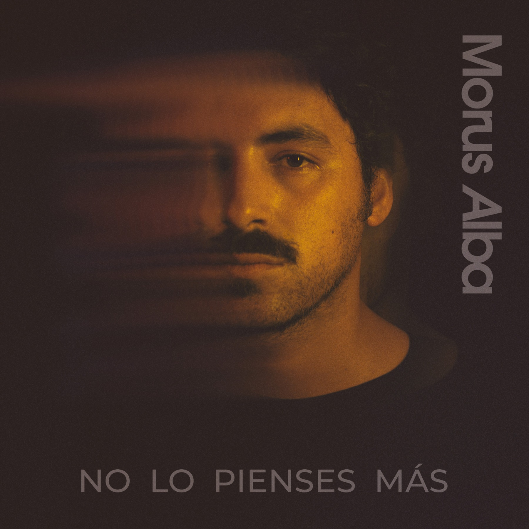Morus Alba — INTROPÍA — Gosia Studio